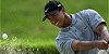 See Tiger at the U.S. Open & Masters