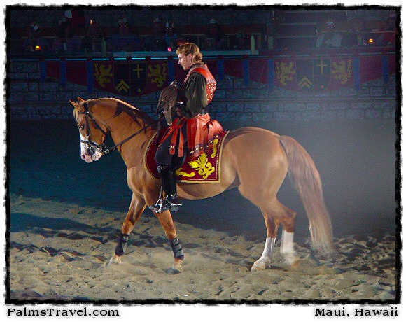  Medieval Times Knights & Horses Photo 