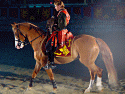  Horses & Equestrian Show Photo 