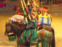  Horses & Knights Photo 