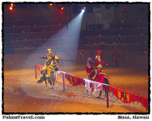  Medieval Times Knights & Horses Photo 