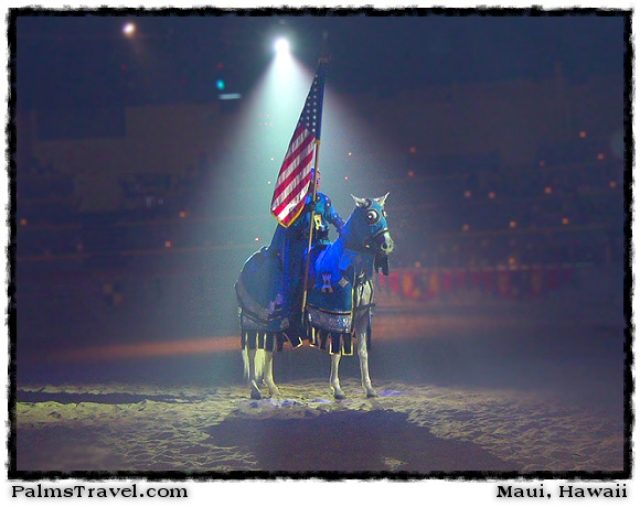  Medieval Times Knights & Horses Photo 