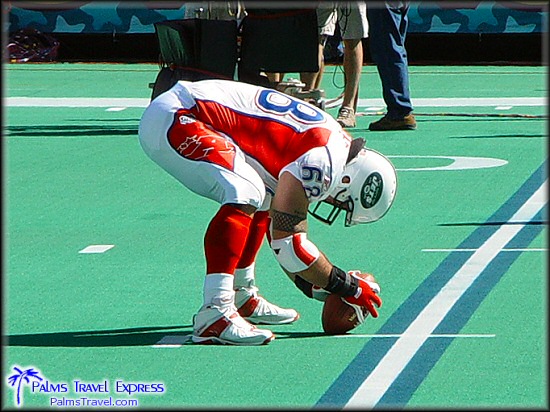  2003 NFL Pro Bowl 