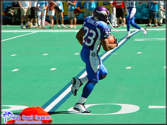  2003 NFL Pro Bowl 