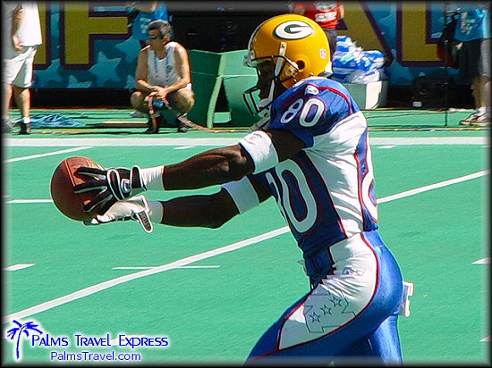  2003 NFL Pro Bowl 