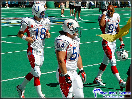  2003 NFL Pro Bowl 