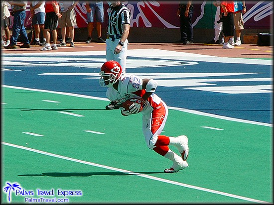  2003 NFL Pro Bowl 