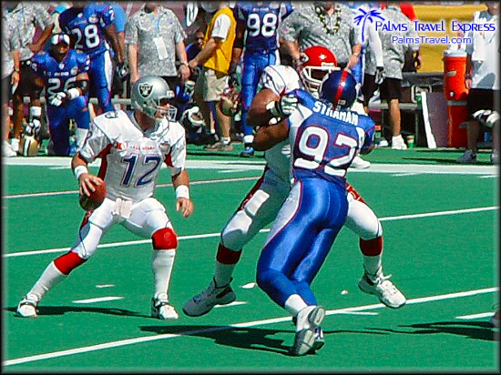  2003 NFL Pro Bowl 