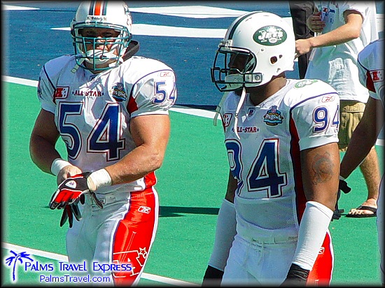 Pro Bowl Photos, NFL Football - Zach Thomas