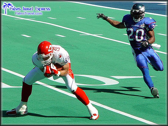  2003 NFL Pro Bowl 