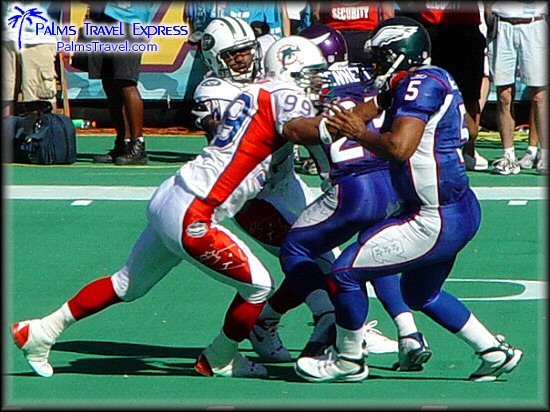  2003 NFL Pro Bowl 