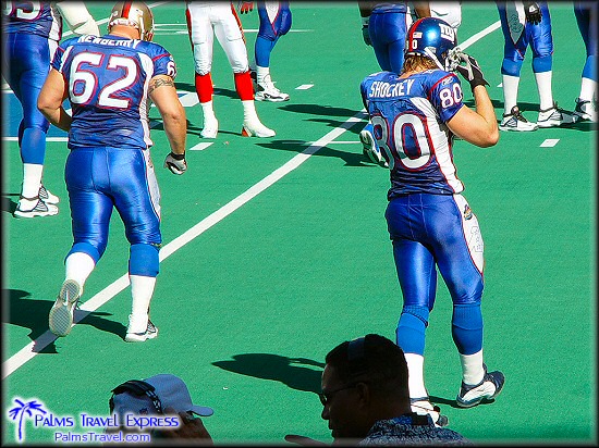  2003 NFL Pro Bowl 